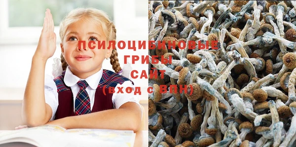 синтетический гашиш Алексин