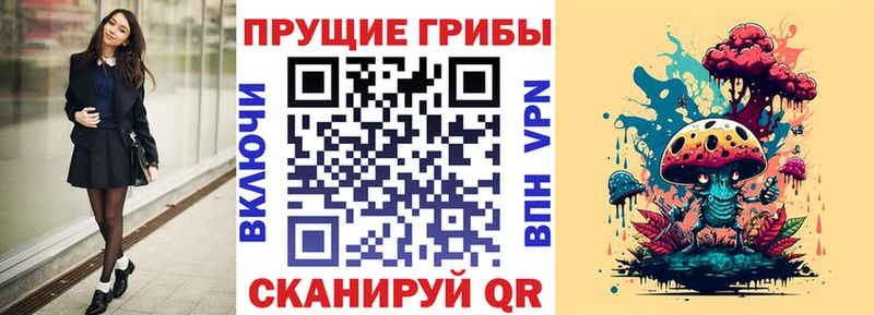 магазин продажи наркотиков  Нижний Тагил  даркнет клад  Псилоцибиновые грибы прущие грибы 